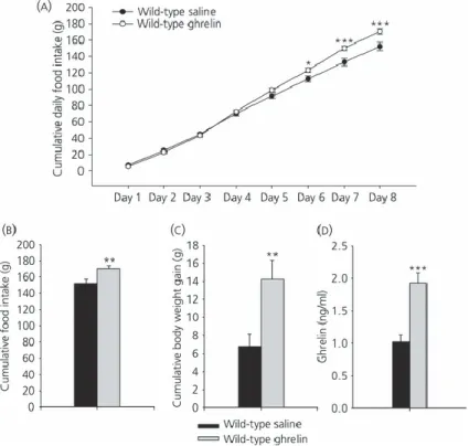 Figure 4.    Effect  of  8-day  i.c.v.  ghrelin  treatment  on  cumulative  daily  food  intake  (a),  cumulative food intake (b), cumulative body weight gain (c) and plasma ghrelin levels (d)  in  wild-type  Lewis  rats