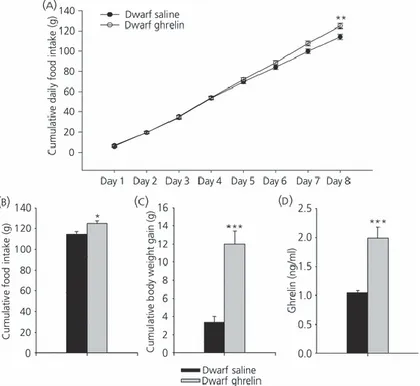 Figure 6.   Effect of 8-day i.c.v. ghrelin treatment on cumulative daily food intake (a),  cumulative food intake (b), cumulative body weight gain (c) and plasma ghrelin levels  (d) in growth hormone-deficient Lewis rats