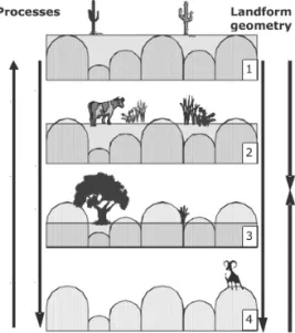 Fig. 3. The degree of exposition of the weathering  front has a strong influence on the surface geometry  and Geo and Biodiversity.