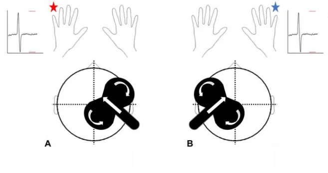 Figure  2.5.  Axial  representation  of  a  head  with  a  figure-of-eight  coil  over  the  right  (A)  or  the  left  (B)  hemisphere.