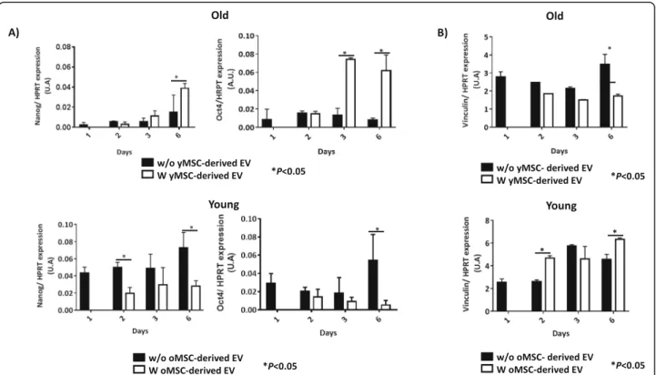 Fig. 4 Study of the self-renewal potential in MSCs. a Histograms represent Nanog and Oct4 gene expression normalised with HPRT, a housekeeping gene, in old MSCs with or without young MSC-derived EVs (upper)