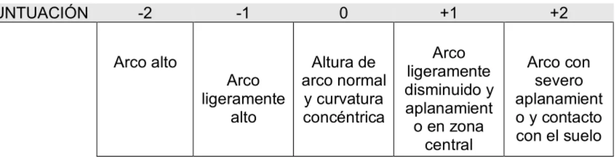 Tabla 7. Estructura del arco longitudinal interno 