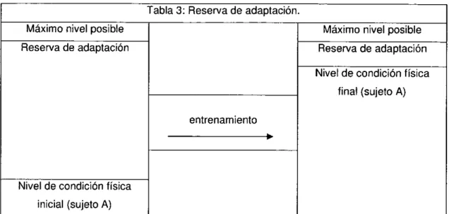 Tabla  3:  Reserva de adaptación.