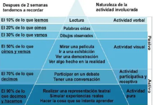 Figura 1. Cono de la Experiencia