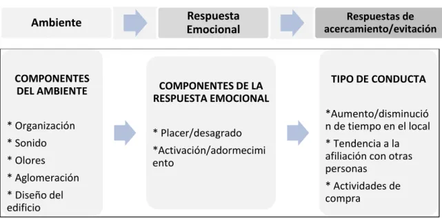 Figura 2. Efectos del ambiente sobre las conductas del consumo 