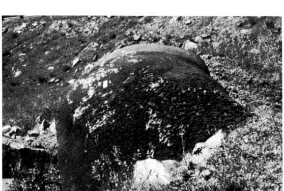 Fot. 6. Bloque de dolerita expuesto en superficie y basculado como consecuencia de excavaciones en Qamata, Transkei, en el que se aprecia alteración alveolar desarrollada por debajo de la superficie del terreno en la parte oculta del residual.