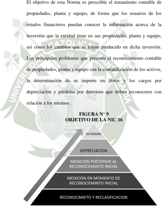FIGURA N° 9  OBJETIVO DE LA NIC 16
