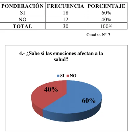 Gráfico N°  11 