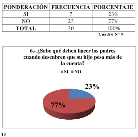 Gráfico N°  13 