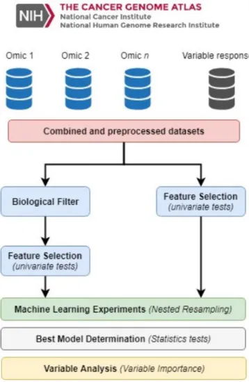 Figure 1: Overall methodology scheme 