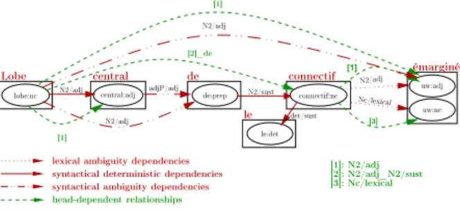 Fig. 3. Head-dependent relationships