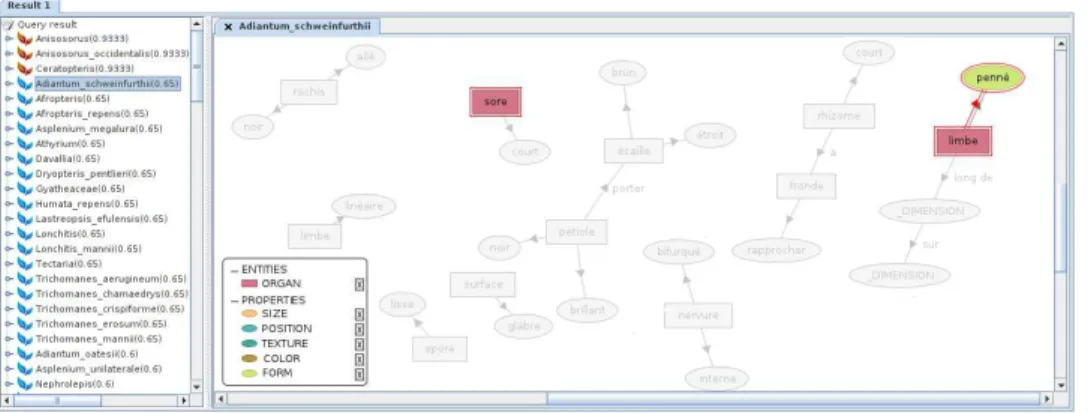 Fig. 9. The documentary and conceptual panels of cogir, on a query’s answer