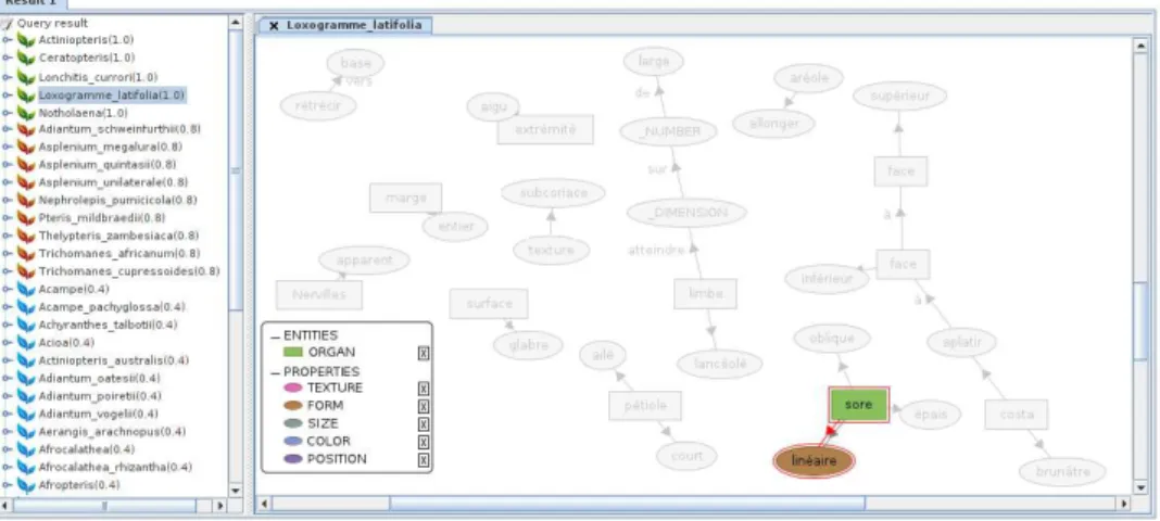 Fig. 13. The relevance feedback applied on the bg of the visual query