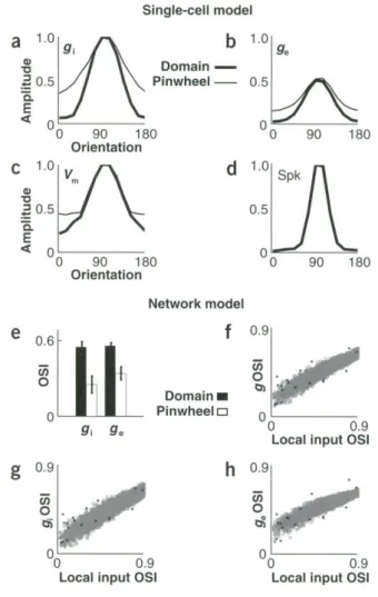 Figure 5 Model predictions for synaptic conductances, membrane potentials and spike responses underlying orientation selectivity  across  the  orientation  map
