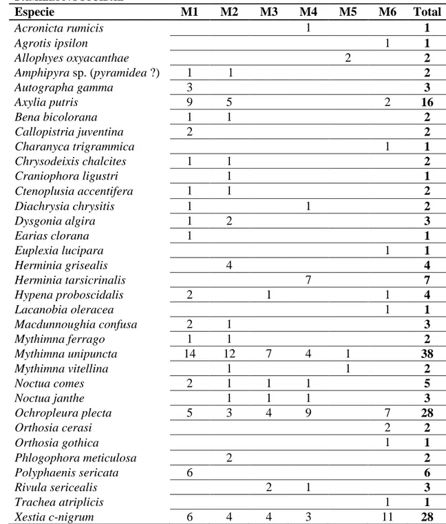 Tabla  3  –  Especies  de  la  familia  Noctuidae.  Se  indica  el  total  de  individuos  conta- conta-bilizados para cada especie, así como el número detectado en cada muestreo (M1-M6)