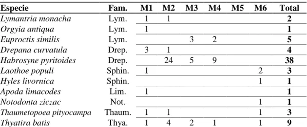 Tabla  6  –  Especies  pertenecientes  a  las  familias  Lymantriidae  (Lym.),  Drepanidae  (Drep.),  Sphingidae  (Sphin.),  Limacodidae  (Lim.),  Notodontidae  (Not.),   Thaumeto-poeidae (Thaum.) y Thyatiridae (Thya.)