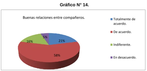 Gráfico N° 14. 