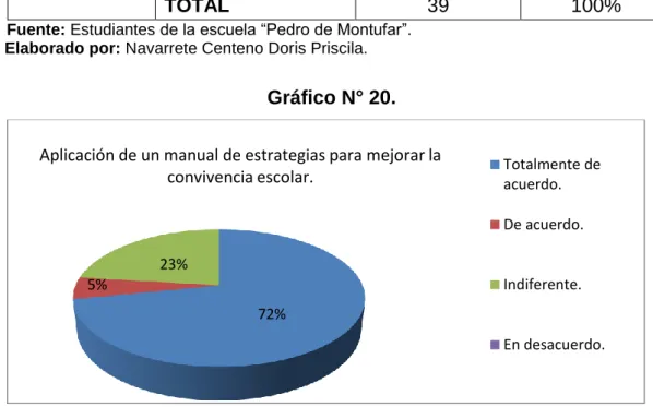 Gráfico N° 20. 