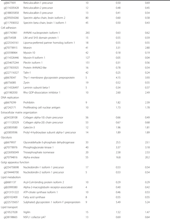 Table 1 Modulated proteins ( p <0.05) in PG-3T3L1 cells classified according to their principal biological process (Continued)