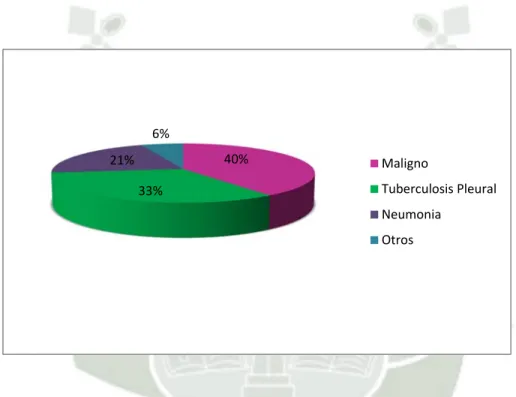 Gráfico N° 1 
