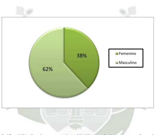 Gráfico N°4 