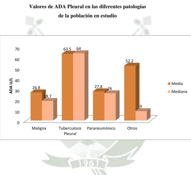 Gráfico N° 6 
