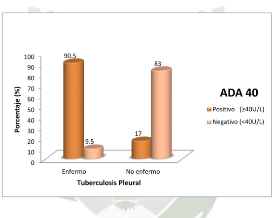 Gráfico N° 7 