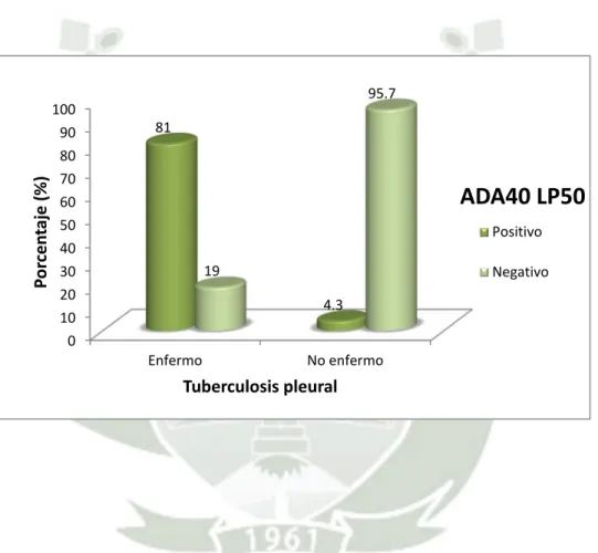 Gráfico N° 8 