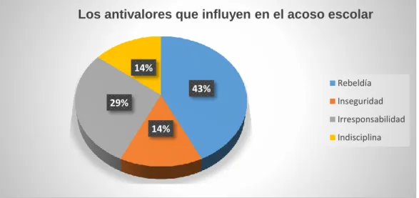 Gráfico N° 13 