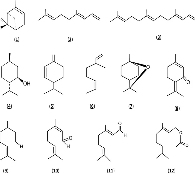 Figura 5-3 Estructuras  identificadas en mono y sesquiterpenoides comunes en  la familia Cucurbitaceae (Mussa, 2006)