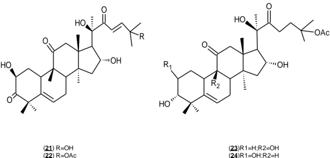 Figura  5-5 Ejemplos  de  cucurbitacinas,  triterpenóides  típicos  de  la  familia  Cucurbitaceae (Mussa, 2006)