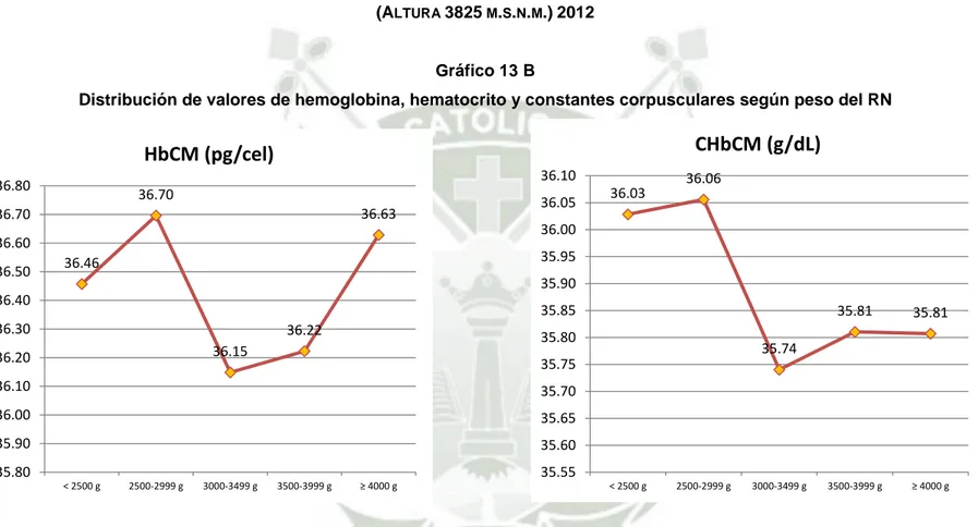 Gráfico 13 B 