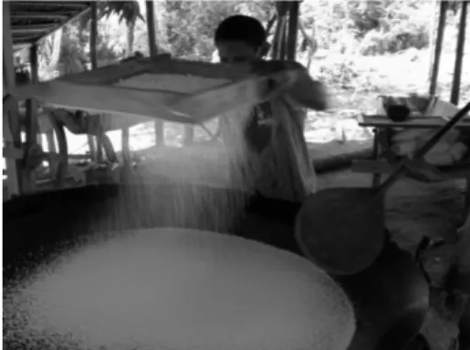 Foto 3: Processo comunitário de fabricação de  farinha na comunidade Mãe Cué. Trombetas/PA.
