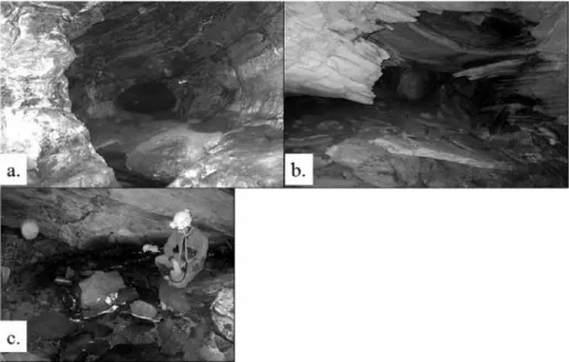 Fig. 8: a.: Cave developed inside quartzites of the Serra of Ibitipoca. b.: Ddecametric room dismantled by collapses