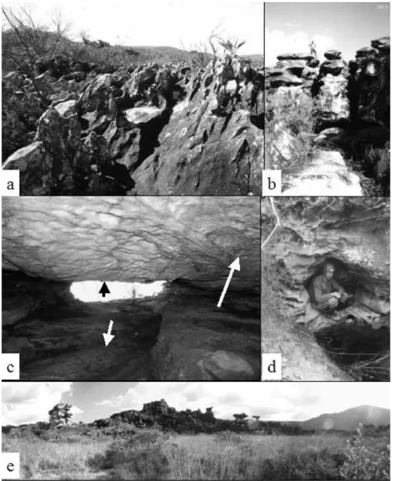 Fig. 3: Karsts of Rio Preto. a.: clints and solution pan (photo L. Willems); b.: clints (photo L