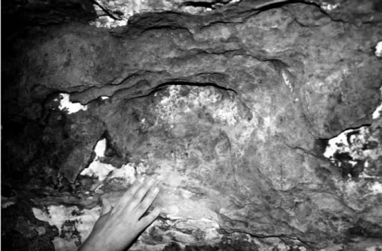 Fig. 6: Example of coating crust and impregnation on the wall of Salitre cave which maintains old solution forms.