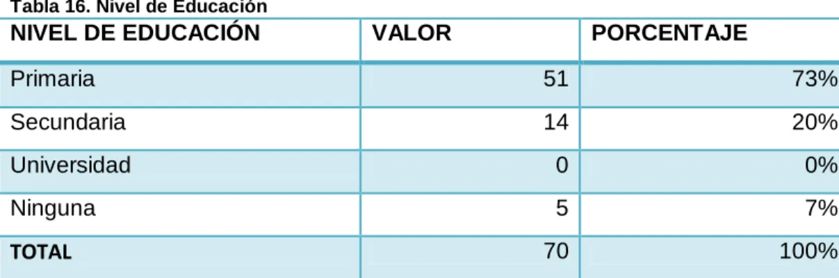 Tabla 16. Nivel de Educación 
