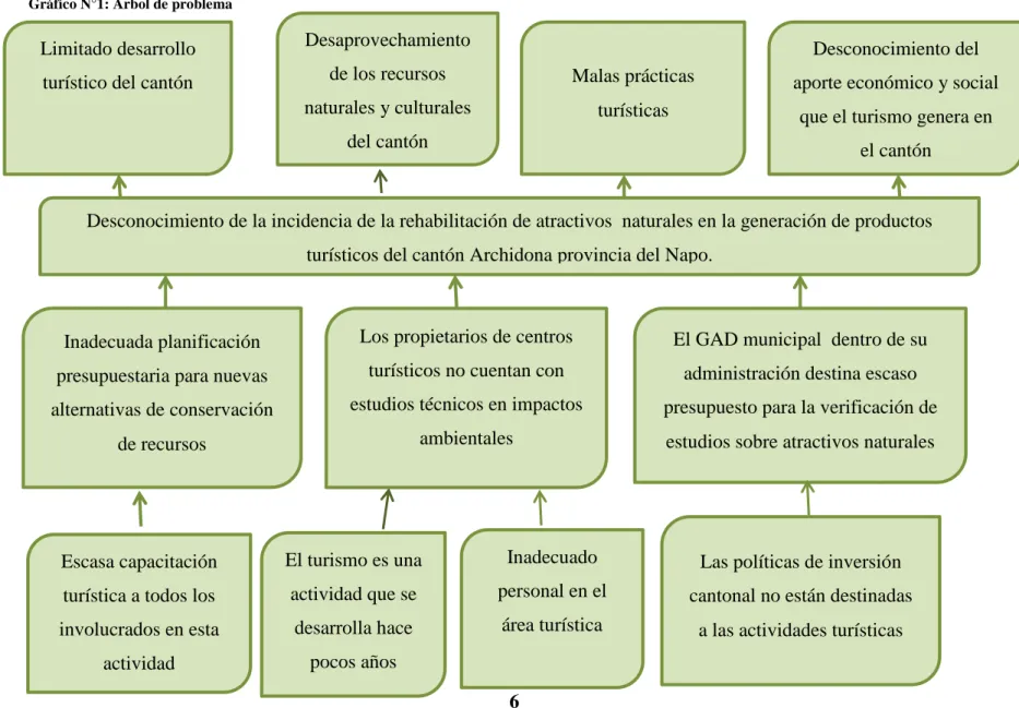 Gráfico N°1: Árbol de problema 