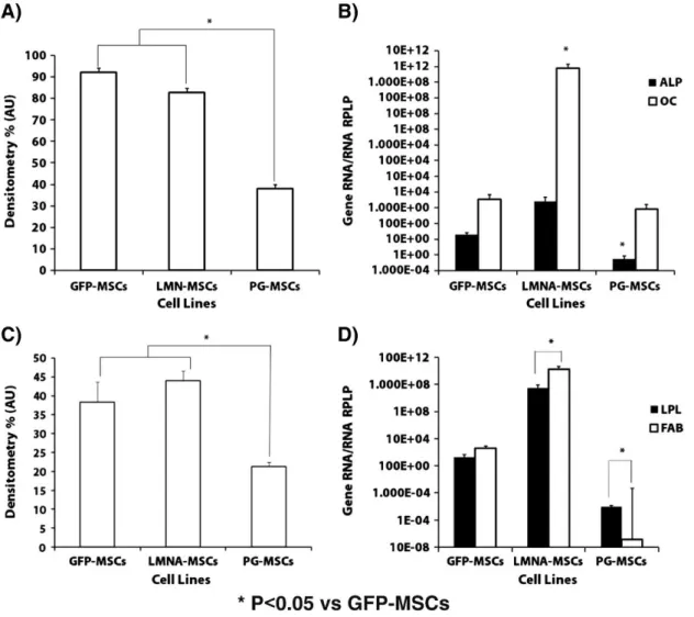 Figure 2. Osteogenic  and  adipogenic  potential  of  mesenchymal  stem  cells  (MSCs)  transduced  with  progerin  (PG),  lamin  A  (LMNA)  or  green  fluorescent  protein  (GFP)