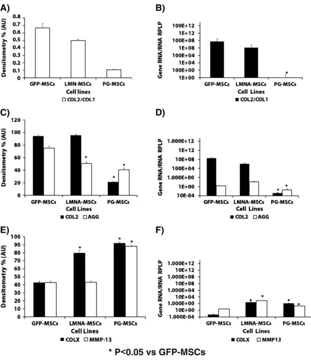 Figure 3. Chondrogenic  potential  and  markers  of  hypertrophy  during  chondrogenic  differentiation  of  mesenchymal  stem  cells  (MSCs) transduced with progerin (PG), lamin A (LMNA) or green fluorescent protein (GFP)