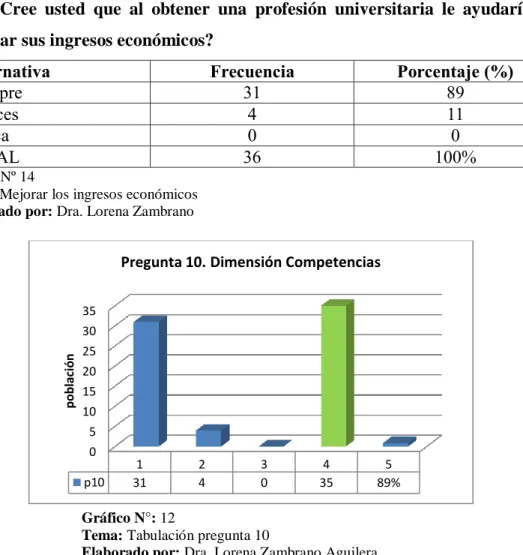 Gráfico N°: 12 