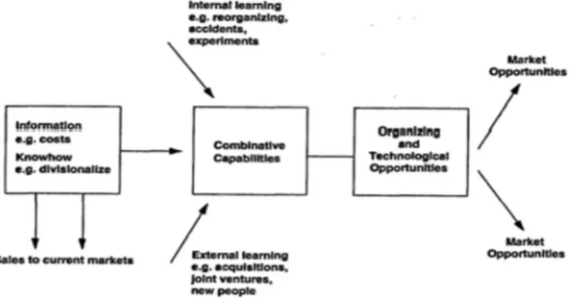 Figura 7. Modelo de crecimiento de conocimiento. Fuente: Kogut y Zander (1992) 