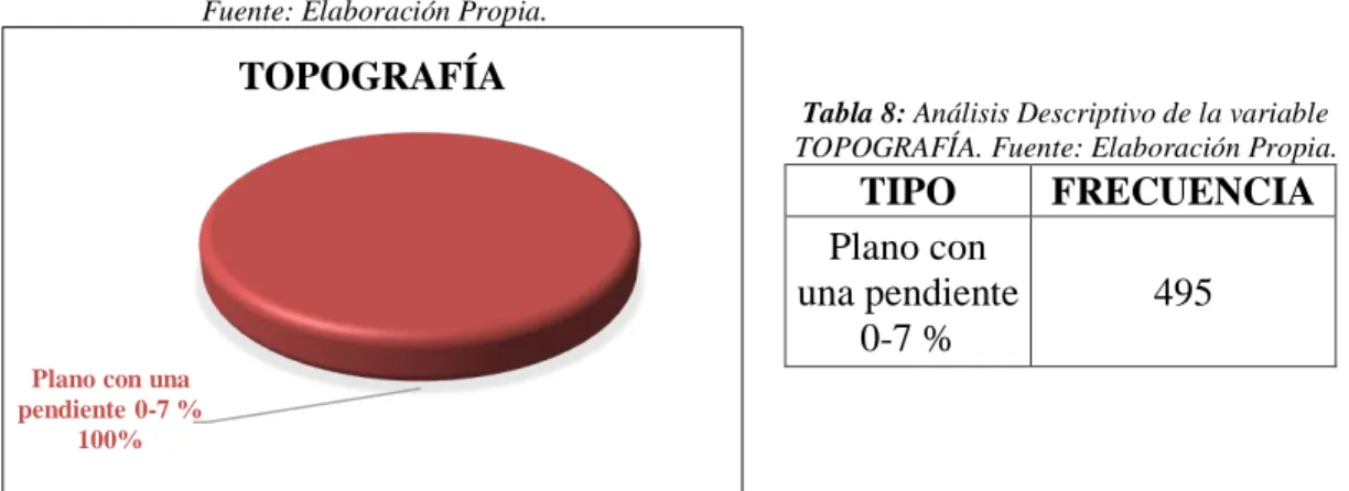 Figura 6: Grafica de Torta de la variable TOPOGRAFÍA.