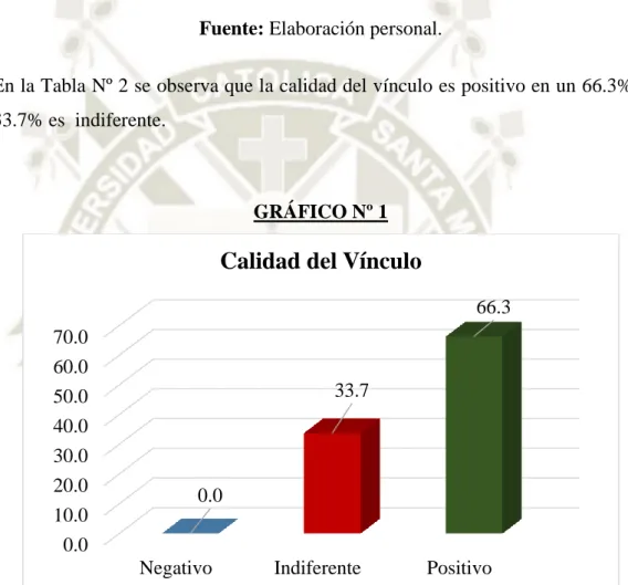 GRÁFICO Nº 1 