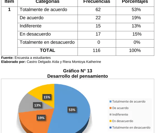 Gráfico N° 13 