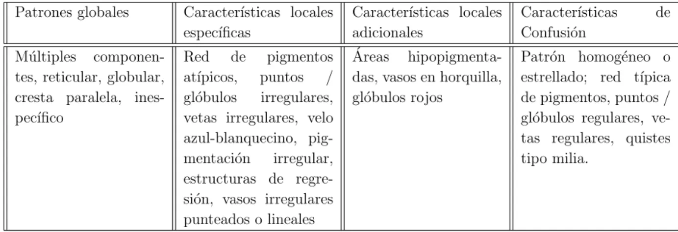 Tabla 3-1: Caracter´ısticas presentes en una lesi´ on tipo melanoma[14]