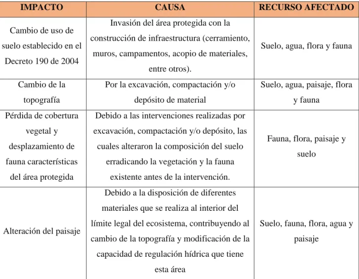 Tabla 5: Recursos impactados en los proyectos de construcción 
