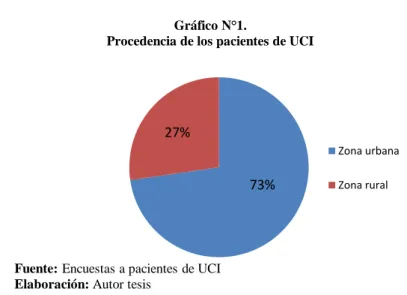 Gráfico N°1.  