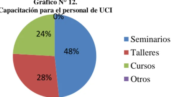 Gráfico N° 12. 