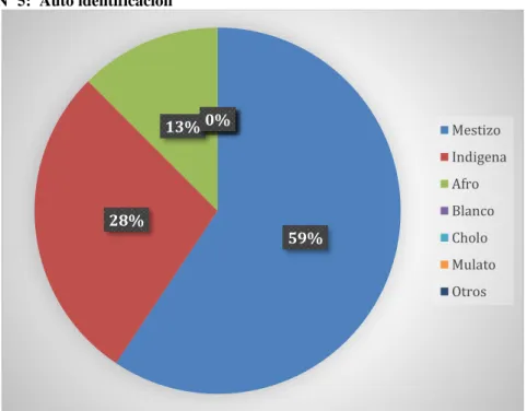 Gráfico Nº 5:  Auto identificación 